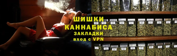 apvp Гусев