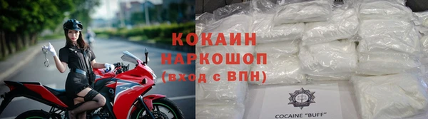 apvp Гусев