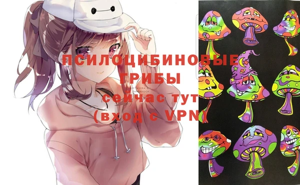 apvp Гусев