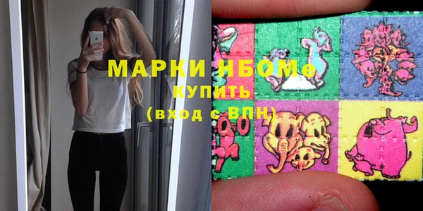 apvp Гусев