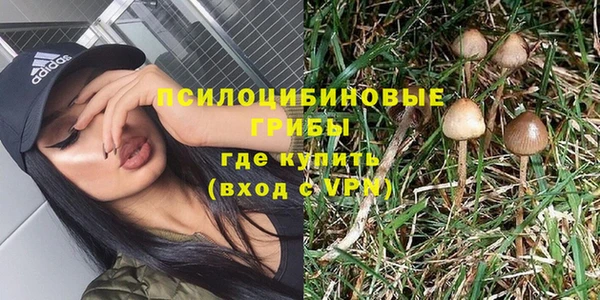 2c-b Гусь-Хрустальный