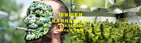2c-b Гусь-Хрустальный