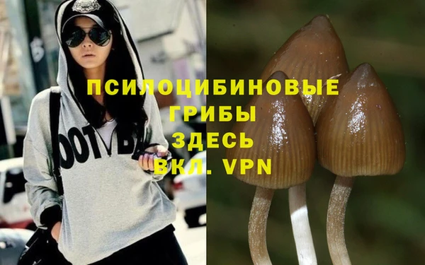 прущая мука Гусиноозёрск
