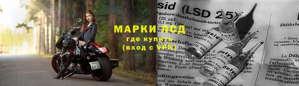 apvp Гусев